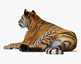 Tigre couché Modèle 3d