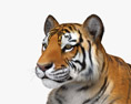 Liegender Tiger 3D-Modell