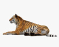 Лежачий тигр 3D модель