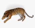 Tigre sdraiata Modello 3D
