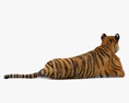 Lying Tiger 3d model