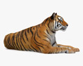 横たわる虎 3Dモデル