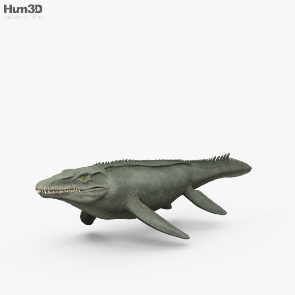 Mosasaurus Modello 3D