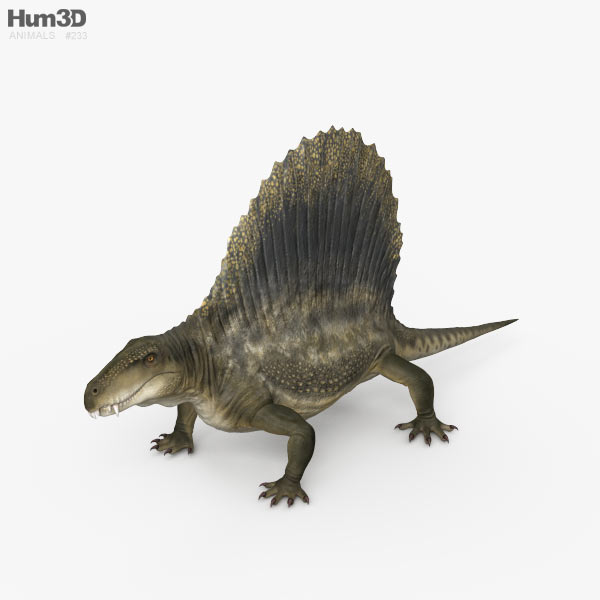 Dimetrodon 3D-Modell