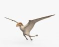 Peteinosaurus Modelo 3D