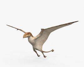 Peteinosaurus 3D model