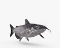 Catfish 3d model