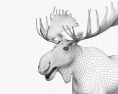 말코손바닥사슴 3D 모델 