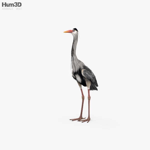 Heron 3D model