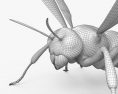 ツマアカスズメバチ 3Dモデル
