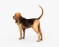 Bloodhound 3d model