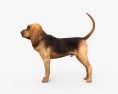 Bloodhound 3d model