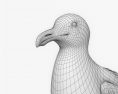 Сизая чайка 3D модель