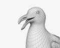 Сизая чайка 3D модель