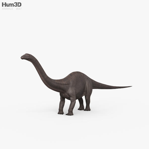 Brontosaurus 3D model