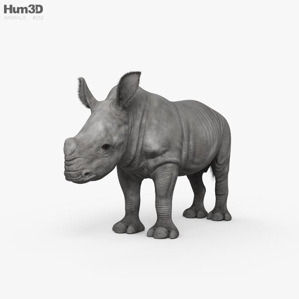 犀牛幼崽 3D模型