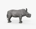 Cucciolo di rinoceronte Modello 3D