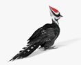 Woodpecker 3d model