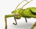 Malaiische Riesengespenstschrecke 3D-Modell