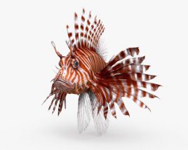 Lionfish 3D model