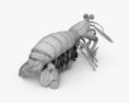 Mantis Shrimp 3d model