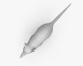 Solenodonte di Hispaniola Modello 3D