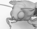 Death's-Head Hawkmoth 3D 모델 