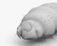 Maggot Modello 3D