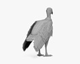 King Vulture 3D 모델 