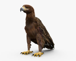 Águila real Modelo 3D