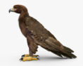 Golden Eagle 3d model