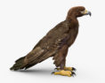 Golden Eagle 3d model