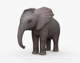 Elefante bébé Modelo 3d