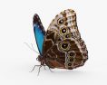 Farfalla Morpho Modello 3D