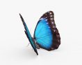 Farfalla Morpho Modello 3D