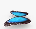 Mariposa morpho Modelo 3D