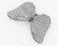 Морфо бабочка 3D модель