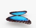 Morpho Butterfly 3d model