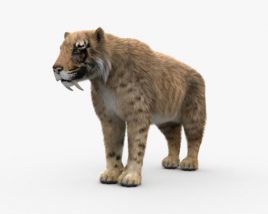 Saber-Toothed Tiger 3D model