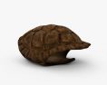 Панцир черепахи 3D модель