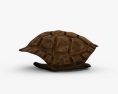Schildkrötenpanzer 3D-Modell