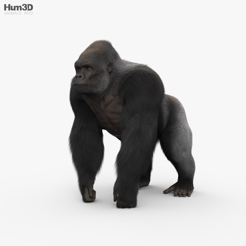 Gorila Modelo 3d