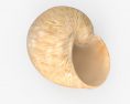 蜗牛壳 3D模型