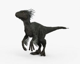 Raptor 3D model