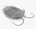 Trilobiten 3D-Modell