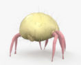 Los ácaros del polvo Modelo 3D
