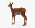 Deer Fawn Modello 3D