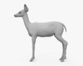 Deer Fawn 3D模型