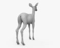 Deer Fawn 3Dモデル