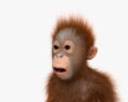 Дитина орангутанга 3D модель